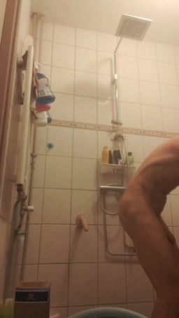Willyversa  10-12-2020